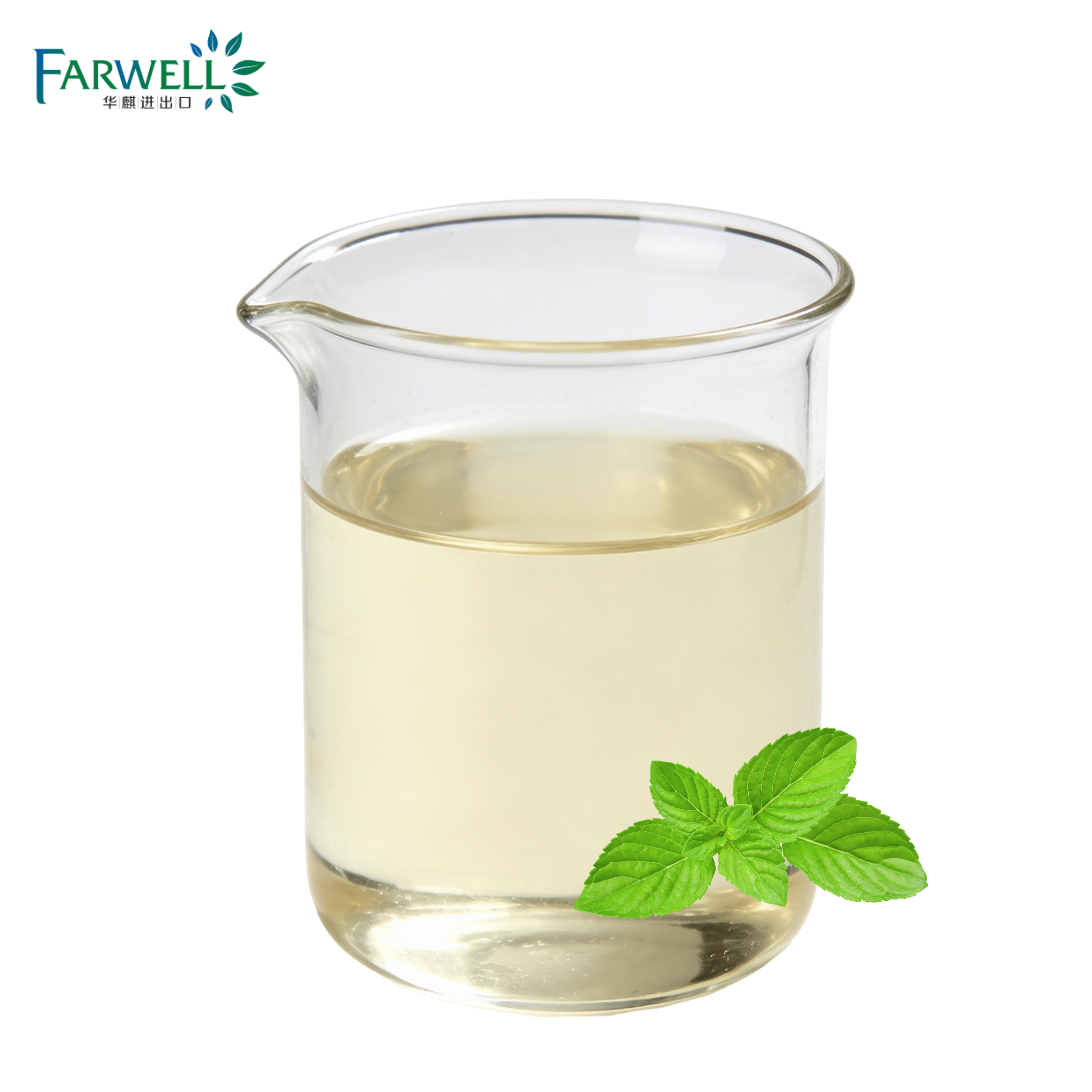 Natural Spearmint Essential Oil 80% min CAS No.8008-79-5 - 图片 2