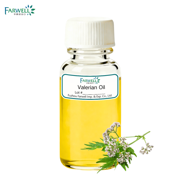Plant Extract Natural Valerian Oil (Natural Flavour & Fragrances) CAS 8008-88-6
